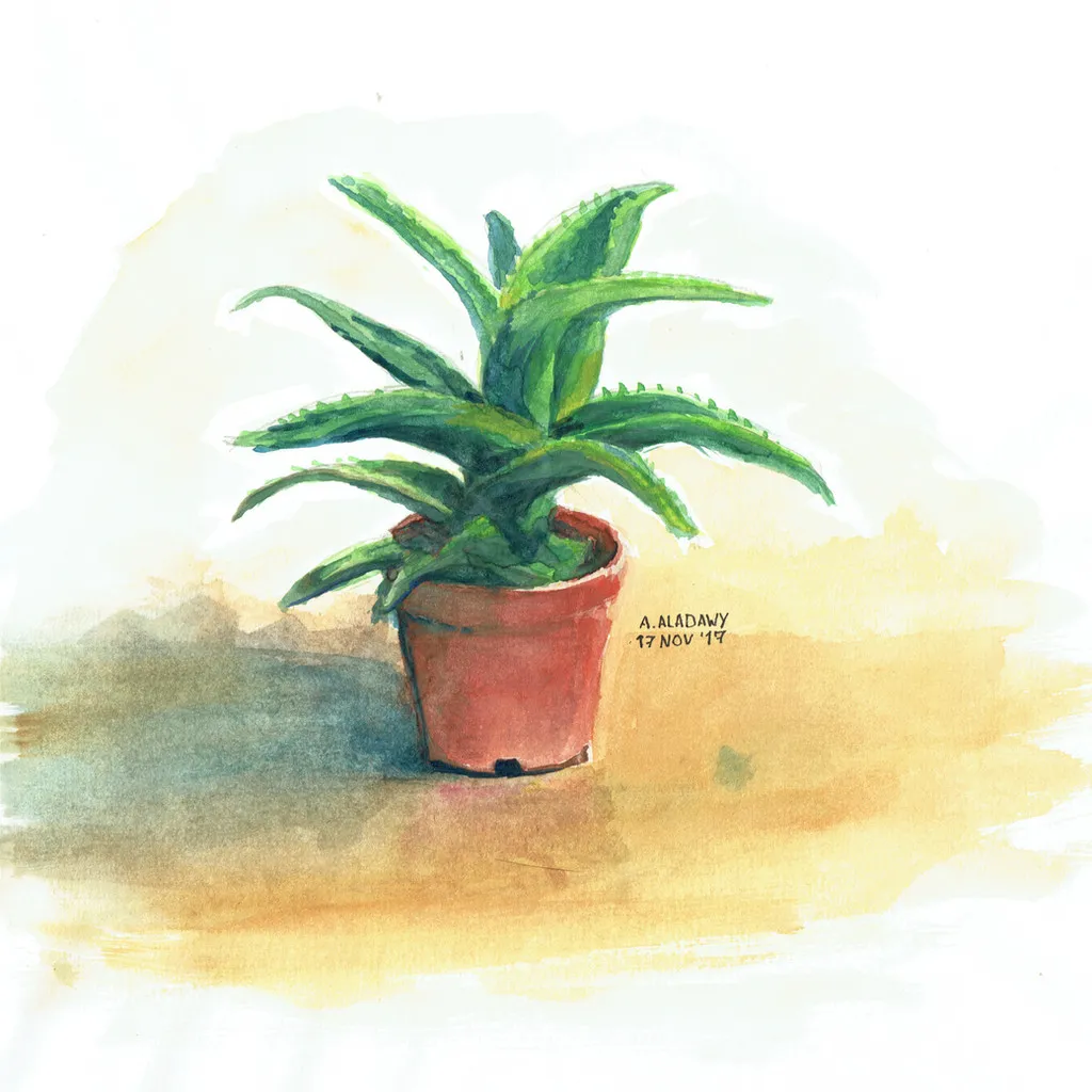 Aloe There