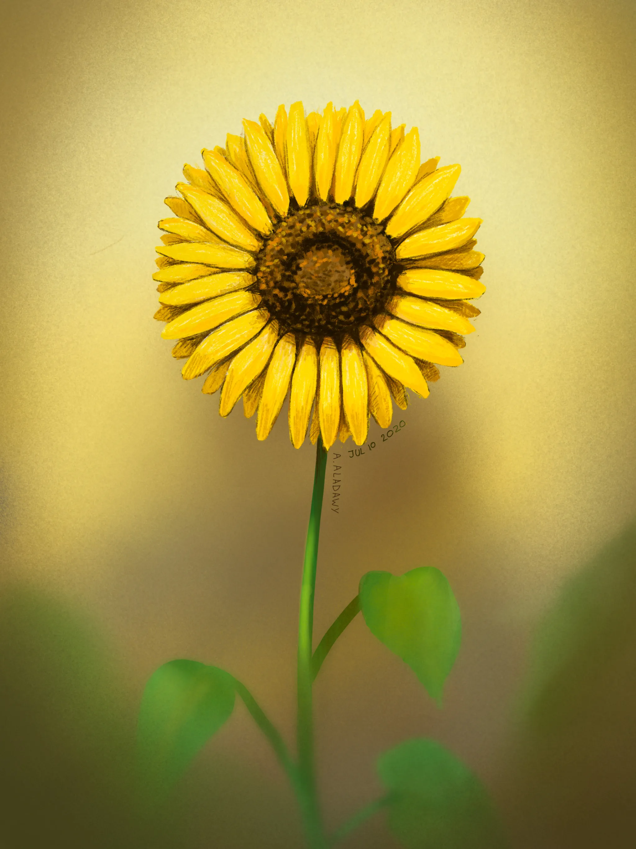 Sunflower