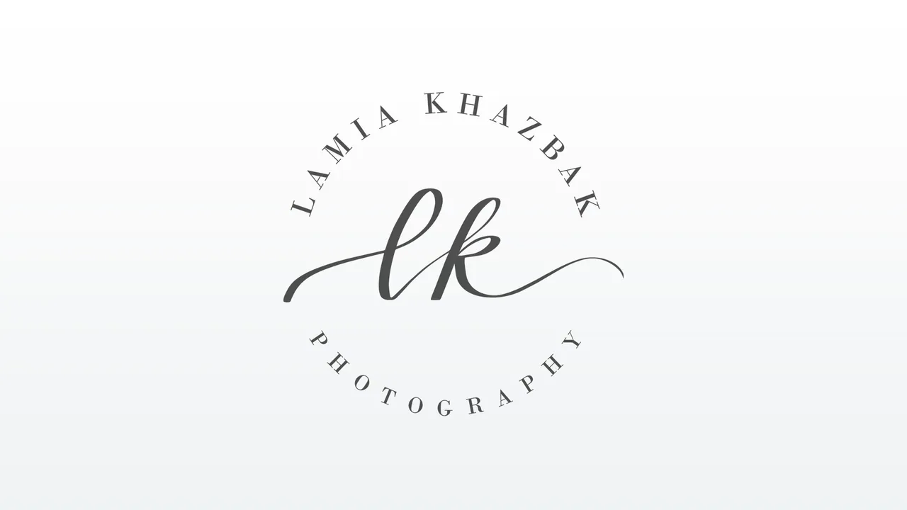 2019 Feed., image 41