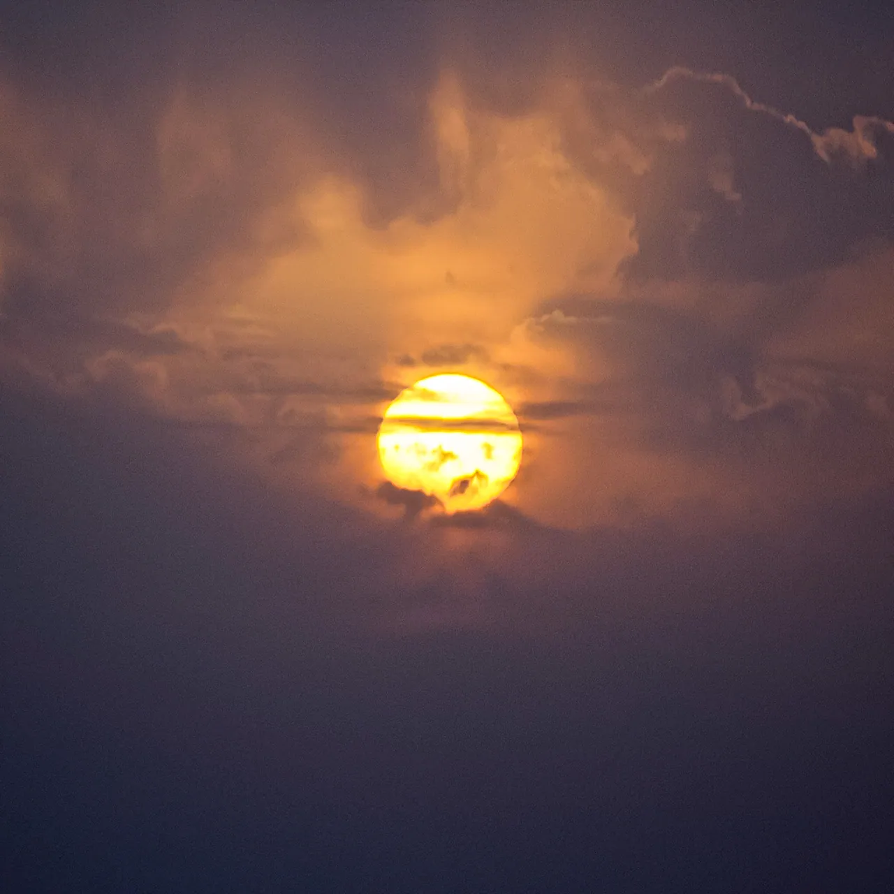 Skies, image 8