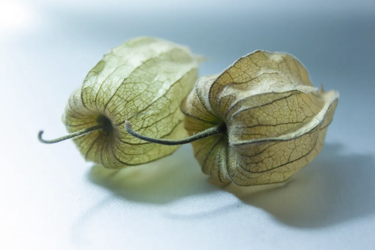 Greens, image 2