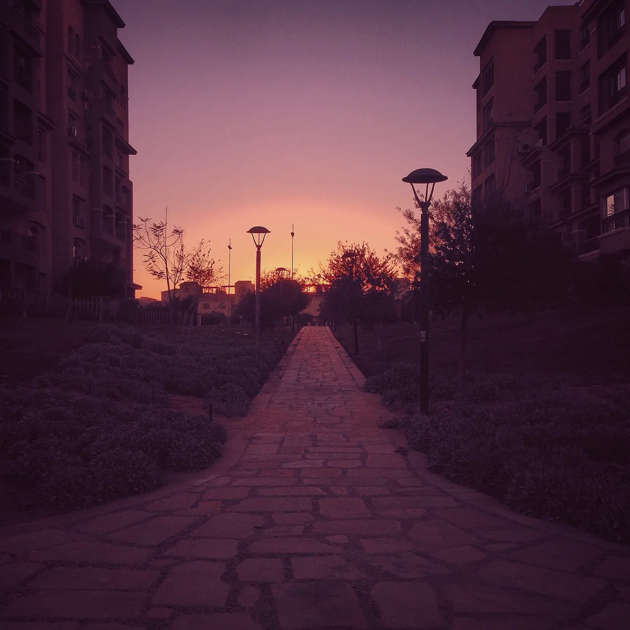 Portfolio - 2018, image 174