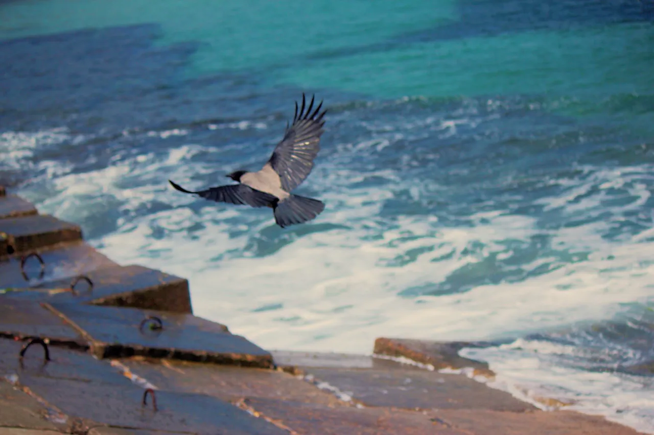 Waters, image 6